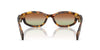 #colour_honey-tortoise-green-brown
