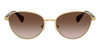 #colour_gold-brown-gradient