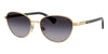 #colour_gold-grey-gradient