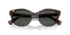 #colour_brown-havana-grey