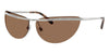#colour_shiny-silver-dark-brown