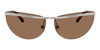 #colour_shiny-silver-dark-brown
