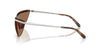 #colour_shiny-silver-dark-brown