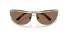 #colour_shiny-silver-dark-brown