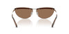 #colour_shiny-silver-dark-brown