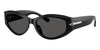 #colour_shiny-black-dark-grey