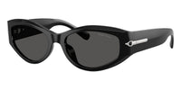 #colour_shiny-black-dark-grey