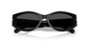 #colour_shiny-black-dark-grey