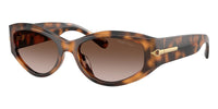 #colour_havana-brown-gradient