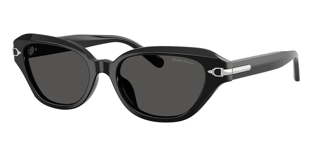 #colour_shiny-black-dark-grey