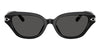 #colour_shiny-black-dark-grey