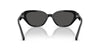 #colour_shiny-black-dark-grey