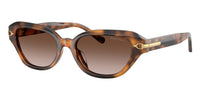 #colour_havana-brown-gradient