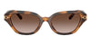 #colour_havana-brown-gradient