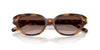 #colour_havana-brown-gradient