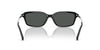 #colour_shiny-black-dark-grey