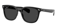 #colour_black-dark-grey-polarised