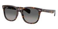#colour_havana-dark-grey-to-light-grey-gradient