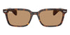 #colour_havana-brown