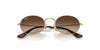 #colour_arista-dark-brown-to-light-brown-gradient