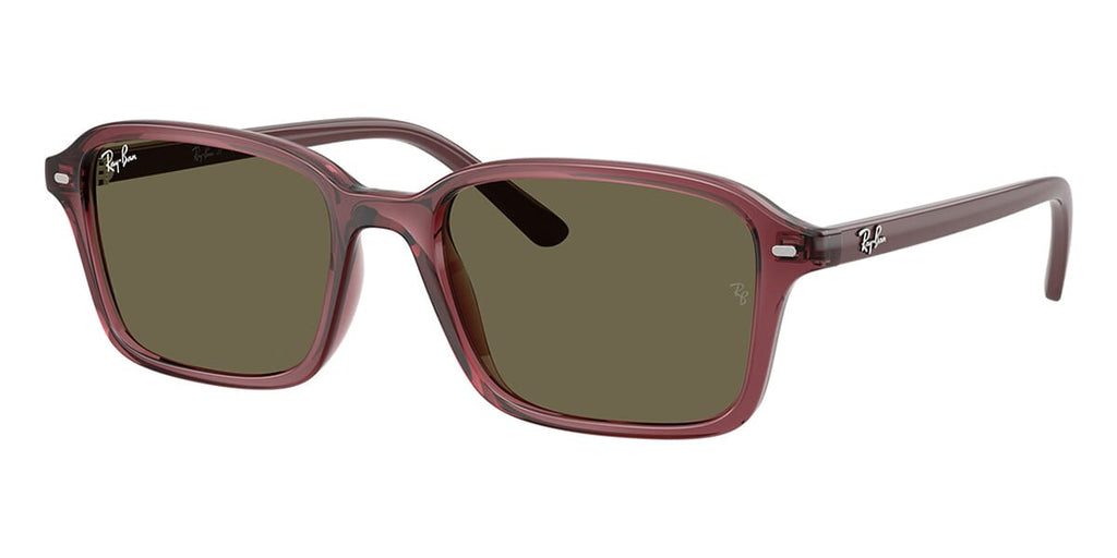 Ray-Ban RJ9131S #colour_dark violet crystal/brown