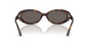Ray-Ban RB2223 #colour_havana/dark grey
