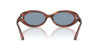 Ray-Ban RB2223 #colour_striped havana/blue
