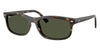Ray-Ban RB2224#colour_havana-green