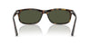 Ray-Ban RB2224#colour_havana-green