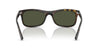 Ray-Ban RB2226#colour_havana-green