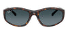 #colour_havana-dark-blue-to-light-blue-gradient-polarised
