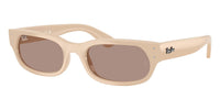 #colour_nude-brown