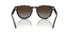 #colour_havana-brown-to-light-grey-polarised