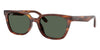 #colour_striped-havana-dark-green