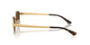 Ray-Ban RB3774D #colour_arista gold/dark brown
