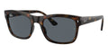 Ray-Ban RB4428