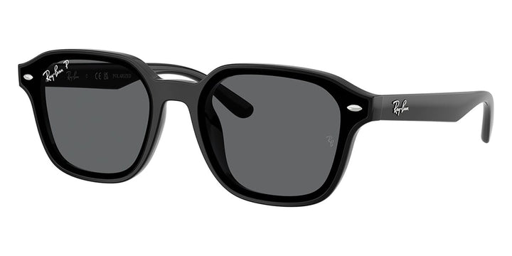 Ray-Ban RB4458D Square Sunglasses | Fashion Eyewear