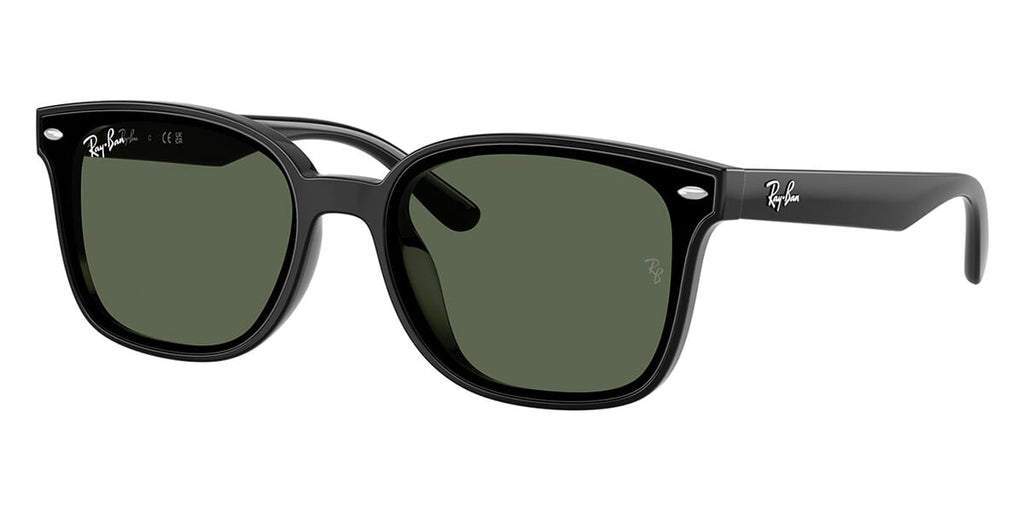 Ray-Ban RB4461D #colour_black/dark green