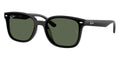 Ray-Ban RB4461D