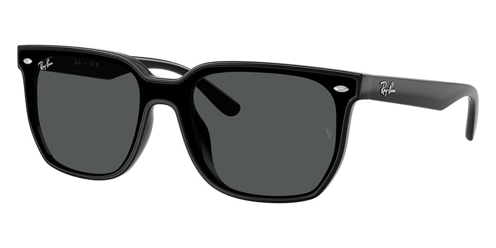 Ray-Ban RB4466D Square Sunglasses | Fashion Eyewear US
