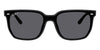 Ray-Ban RB4466D #colour_matte black/grey polarised