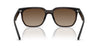 Ray-Ban RB4466D #colour_dark brown crystal/brown gradient