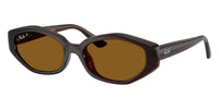 Ray-Ban RB4473D #colour_dark brown/dark brown polarised