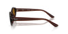 Ray-Ban RB4473D #colour_dark brown/dark brown polarised