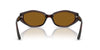 Ray-Ban RB4473D #colour_dark brown/dark brown polarised