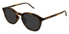 Saint Laurent SL 782/K #colour_havana/grey