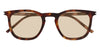 Saint Laurent SL 623#colour_shiny-dark-havana-light-brown
