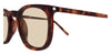 Saint Laurent SL 623#colour_shiny-dark-havana-light-brown