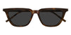 Saint Laurent SL 889 #colour_havana/grey