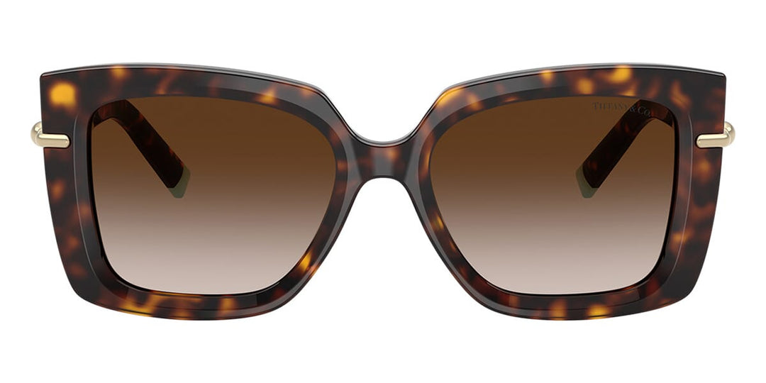 tiffany-and-co-tf4199-80153b-